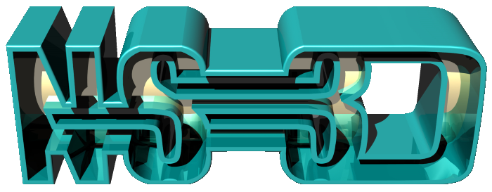 NS-3D Logo